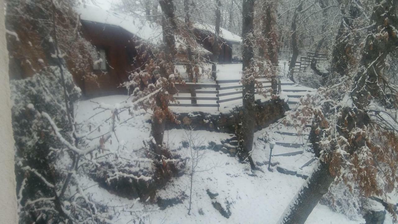 Affittacamere La Albarina Galende Esterno foto